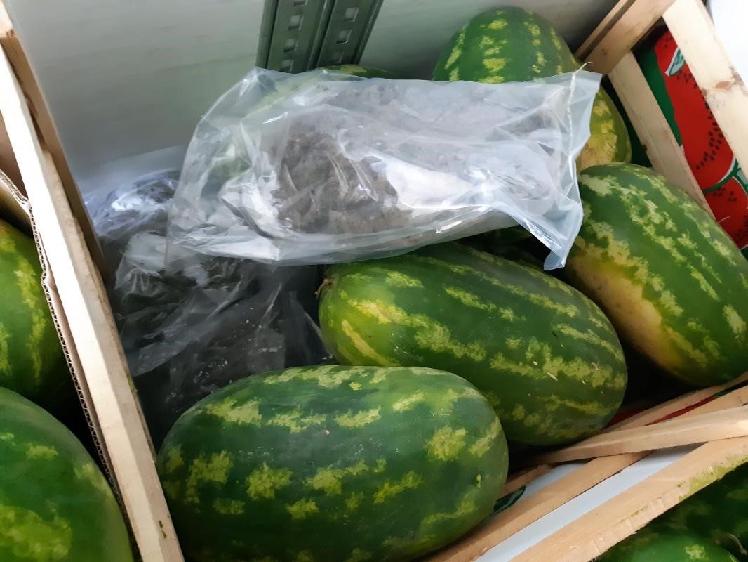 Des sacs d'herbe de cannabis découverts dans un chargement de pastèques
