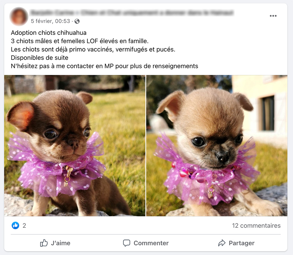 Exemple d'une fausse annonce sur Facebook